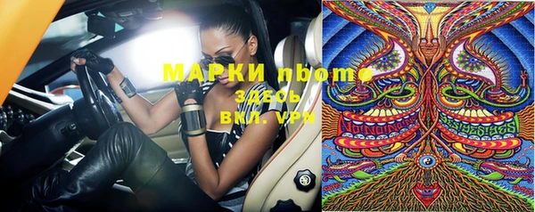 PSILOCYBIN Новодвинск