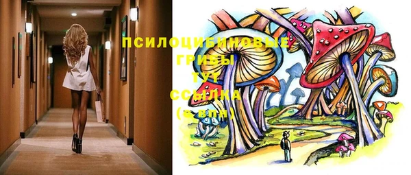 PSILOCYBIN Новодвинск