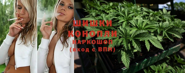 PSILOCYBIN Новодвинск