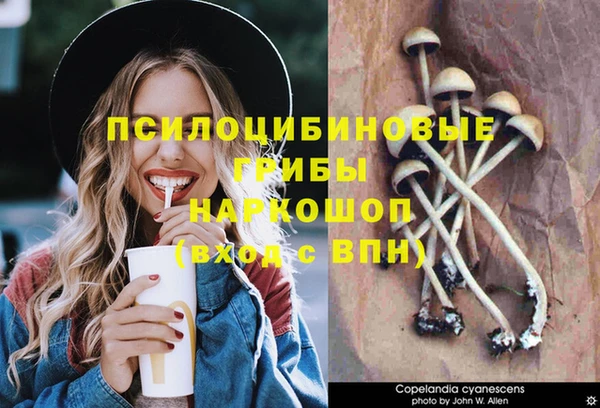 прущие крисы Новокубанск