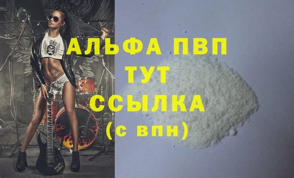 PSILOCYBIN Новодвинск