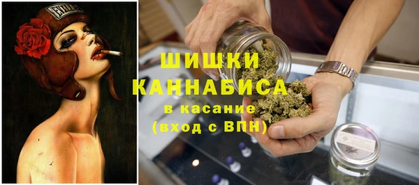 ПСИЛОЦИБИНОВЫЕ ГРИБЫ Нея