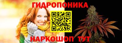 гидра Аргун
